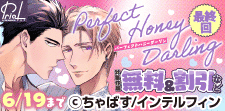「Perfect Honey Darling」最終回フェア