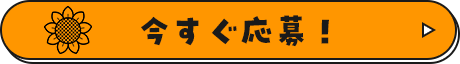 今すぐ応募！