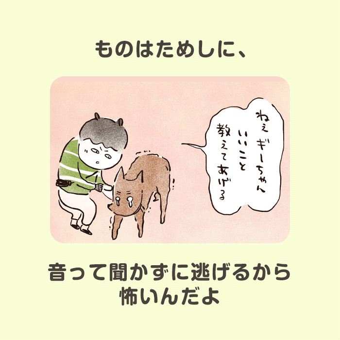 いとしのギー コマ2