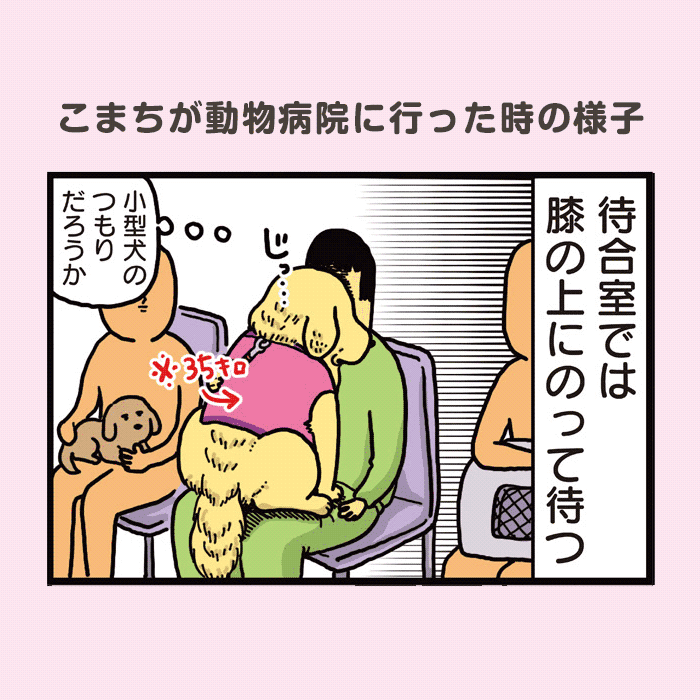 まめきちまめこニートの日常 こまちとタビ1