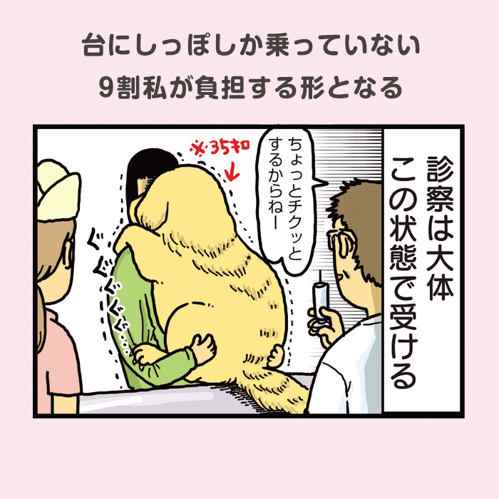 まめきちまめこニートの日常 こまちとタビ4