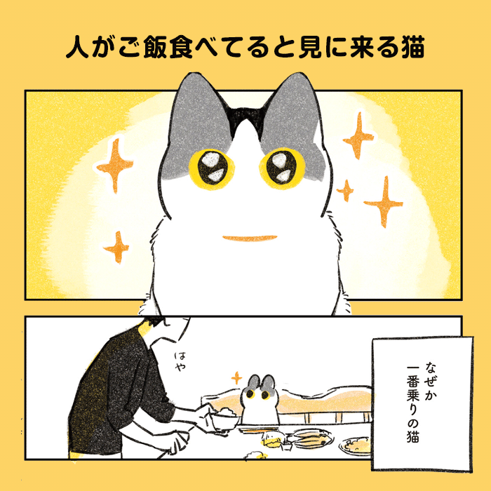 じじ猫くらし コマ1