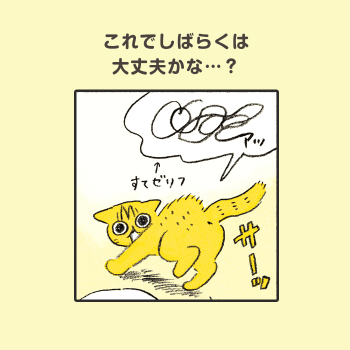 茶トラのやっちゃんコマ3