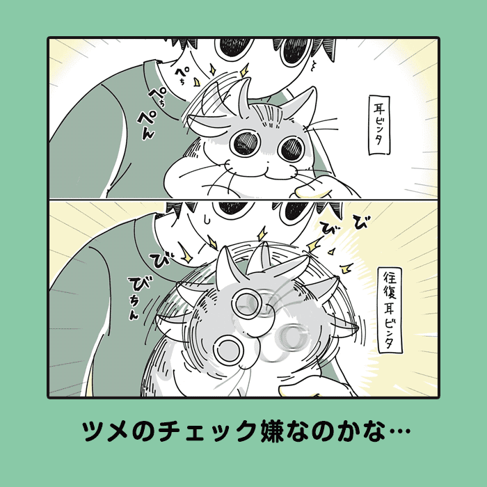 夜は猫といっしょ コマ3