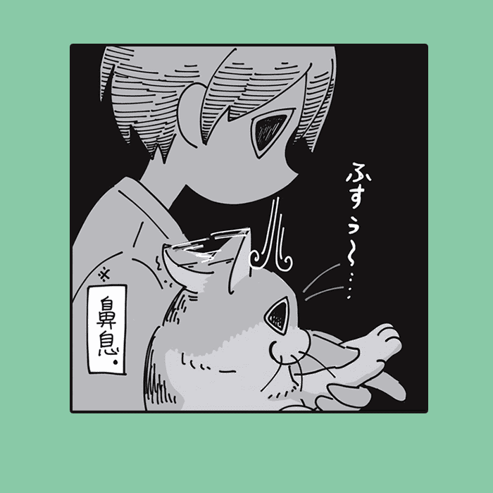 夜は猫といっしょ コマ4