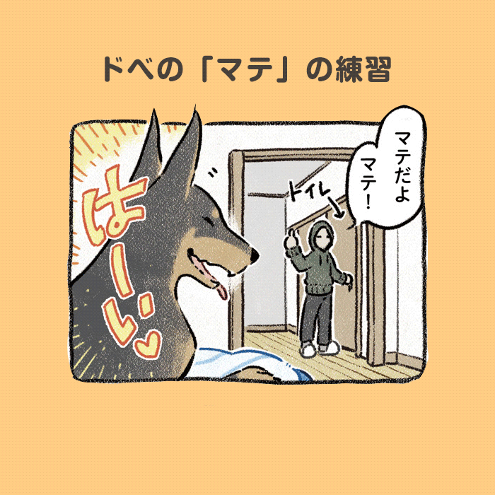 ドベとノラ 犬がくれた優しい世界コマ1