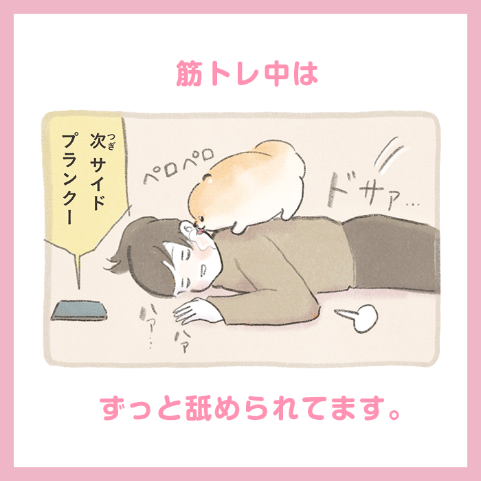 ふわふわポメのぽぽち こまちとタビ5