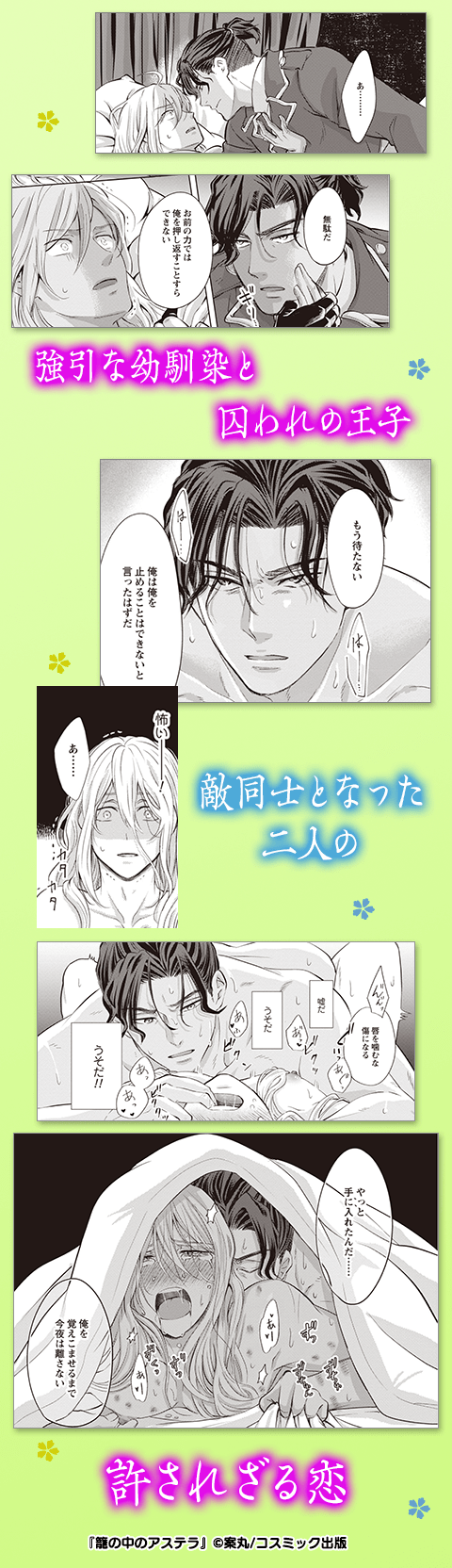 【電子限定特典付】籠の中のアステラ