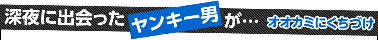 オオカミにくちづけ