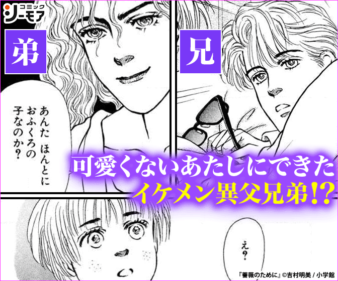 薔薇のために